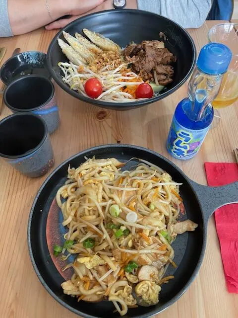 Nouilles Udon Poulet